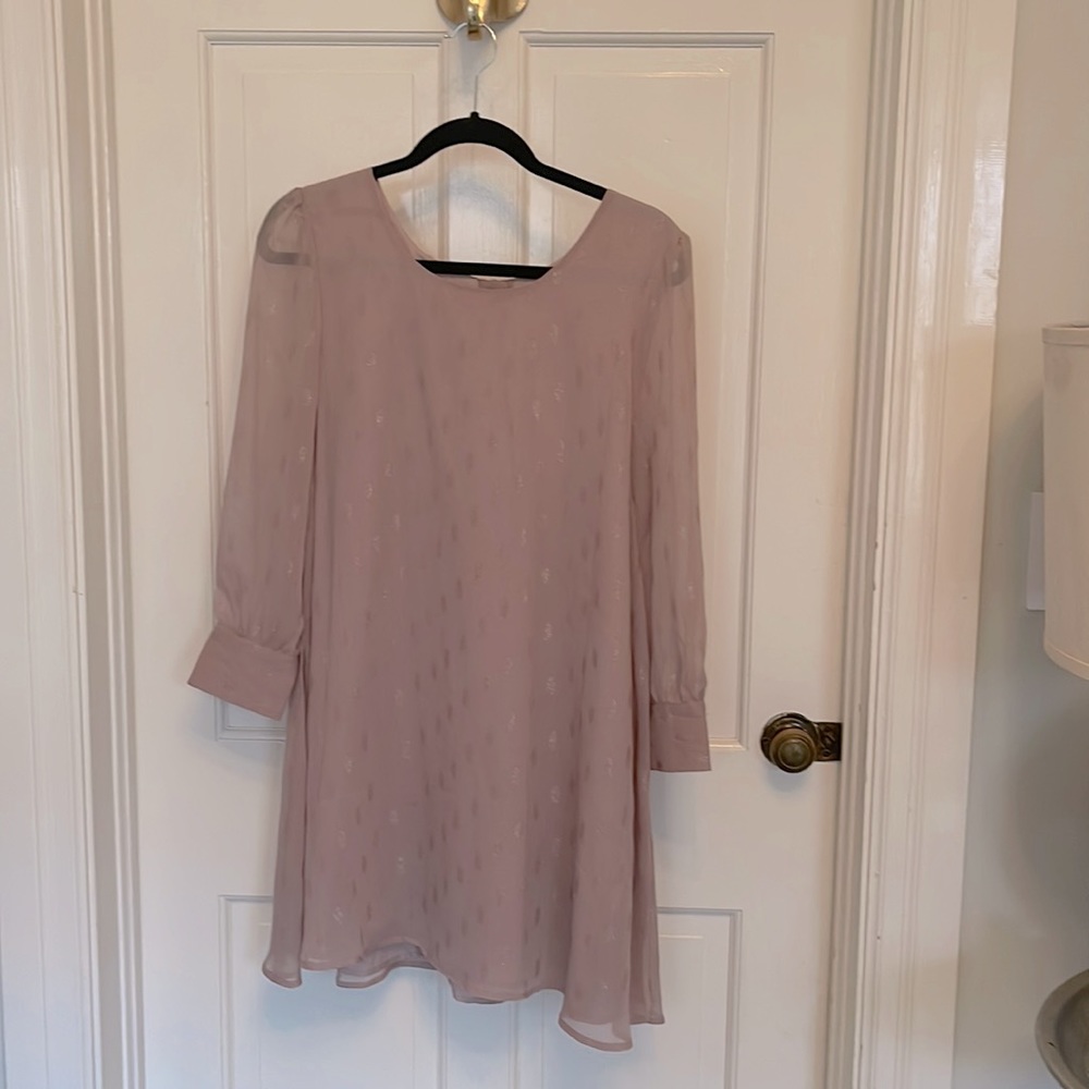 BB Dakota Dusty Rose Blush Chiffon Shimmer Dot Long Sleeve Baby Doll Dress